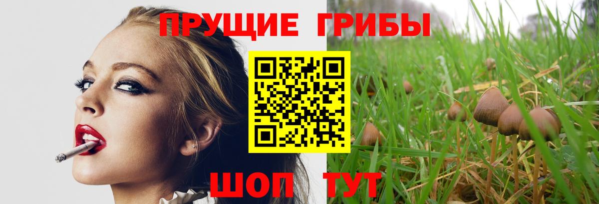 Копейск  Галлюциногенные грибы Magic Shrooms  Вход с VPN 
