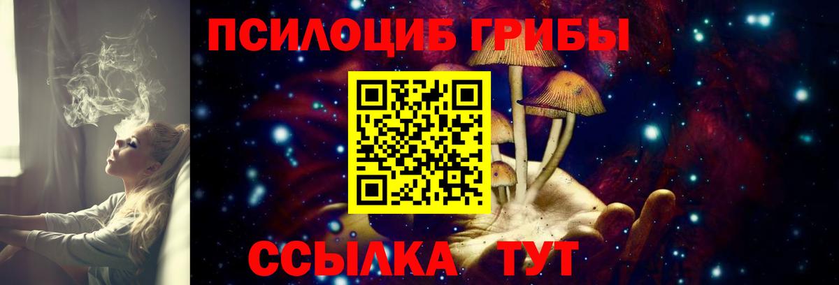 Галлюциногенные грибы мицелий Копейск